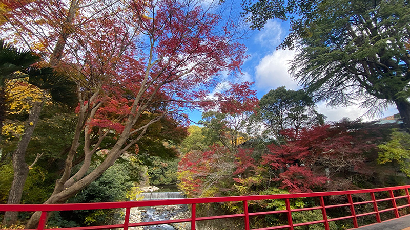 紅葉不死王閣